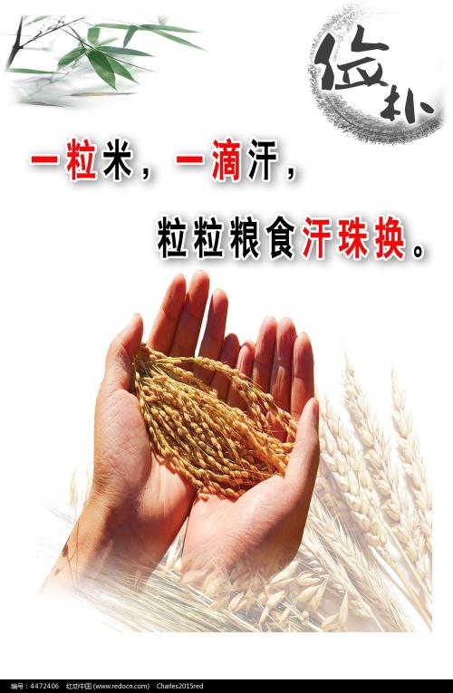 熊本健康科学大学diploma购买